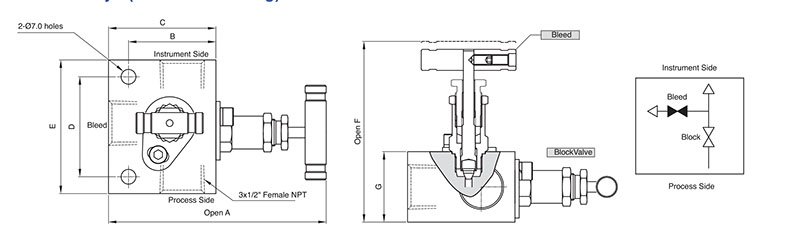 SM2V 2-Valve Manifold Valves - Image 2